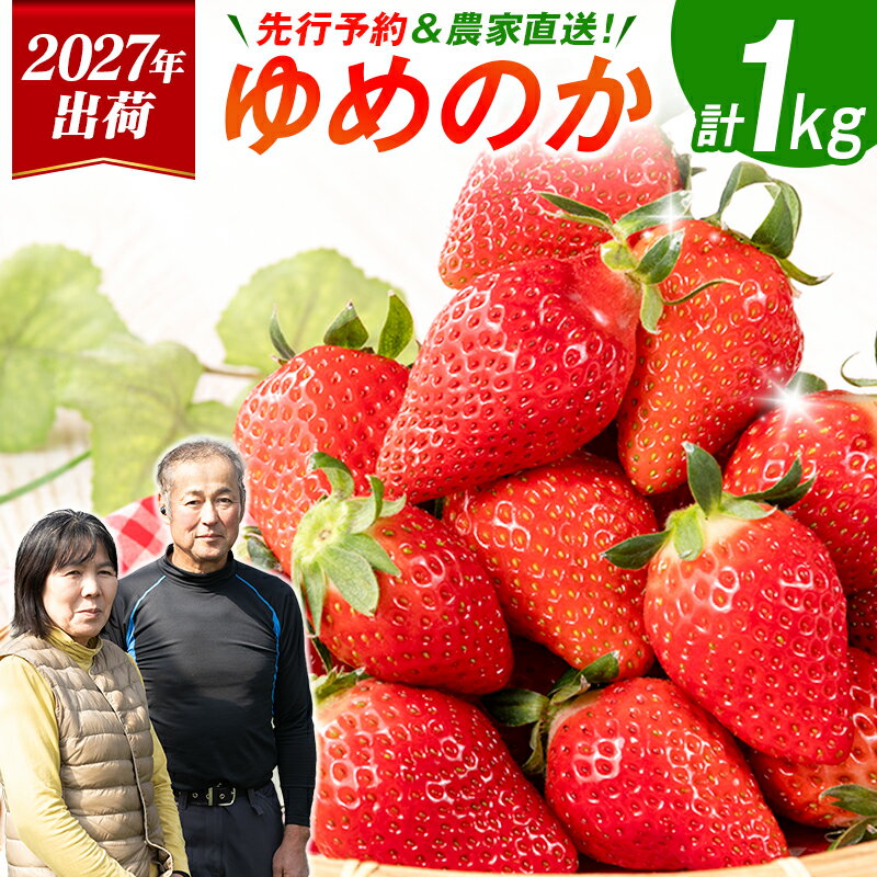 【ふるさと納税】＜2027年出荷＞先行予約 宮崎県産 いちご「ゆめのか」計1kg（250g×4パック）フルーツ 期間限定 デザート ご褒美