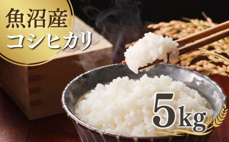 【先行予約】令和7年産新米 魚沼産コシヒカリ 5kg 吉兆楽 0038-0001-01 コシヒカリ コシヒカリ コシヒカリ