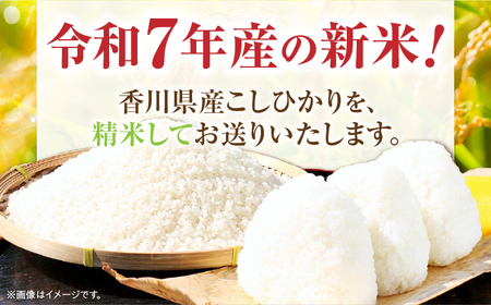 【令和7年産】香川県産こしひかり 5kg（紙袋配送）|新米 コシヒカリ こしひかり 5kg 米 白米 ごはん ご飯 朝食 白ご飯 おにぎり お弁当 おむすび お米 国産 美味しい ツヤ モチモチ 精米
