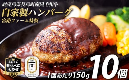 
            鹿児島県産合挽き肉使用 自家製ハンバーグ計10個(1個150g)【宮路ファーム】f-miyaji-1209
          