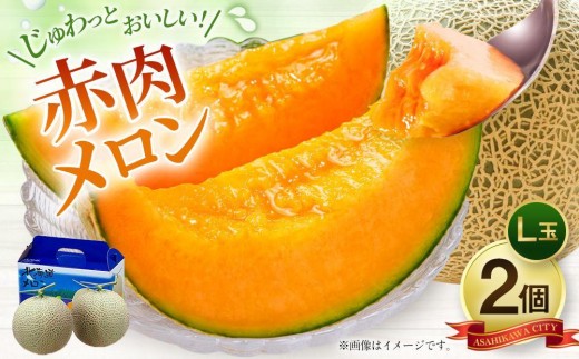 
                  【26年発送先行予約】北海道 秀品 赤肉メロン L玉×2個 (2026年7月発送開始予定) 【 果物 くだもの フルーツ メロン 赤肉 赤肉メロン 旬 お取り寄せ 甘い 北海道産 旭川市 北海道 】_00112
                