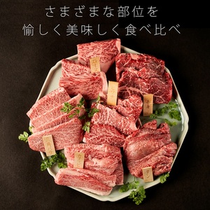 志方牛6点食べ比べ《 牛肉 牛 志方牛 黒毛和牛 肉 赤身 食べ比べ 焼肉 》【2502A00101】