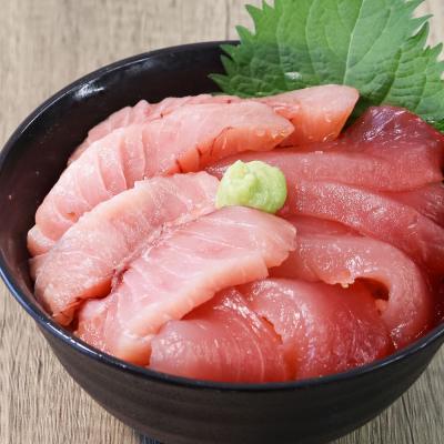 ふるさと納税 田野町 【四国一小さなまち】天然マグロ(赤身・中トロ 各500g)★冷凍★3ヶ月定期便 |  | 03