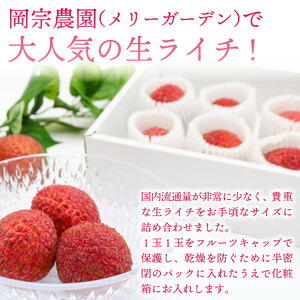 【令和7年6月中旬頃より発送】生ライチ 国産 室戸海洋深層水使用 ライチ 果物 化粧箱入り 贈答用