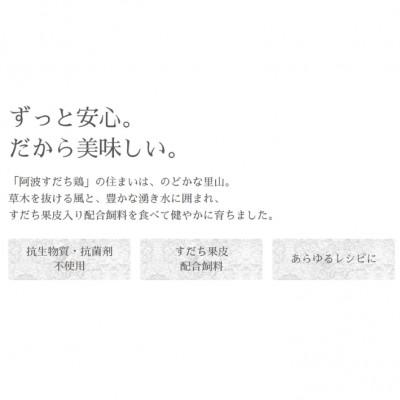 ふるさと納税 阿南市 すだチキンバーガー5個入 計850g 徳島県産 |  | 02