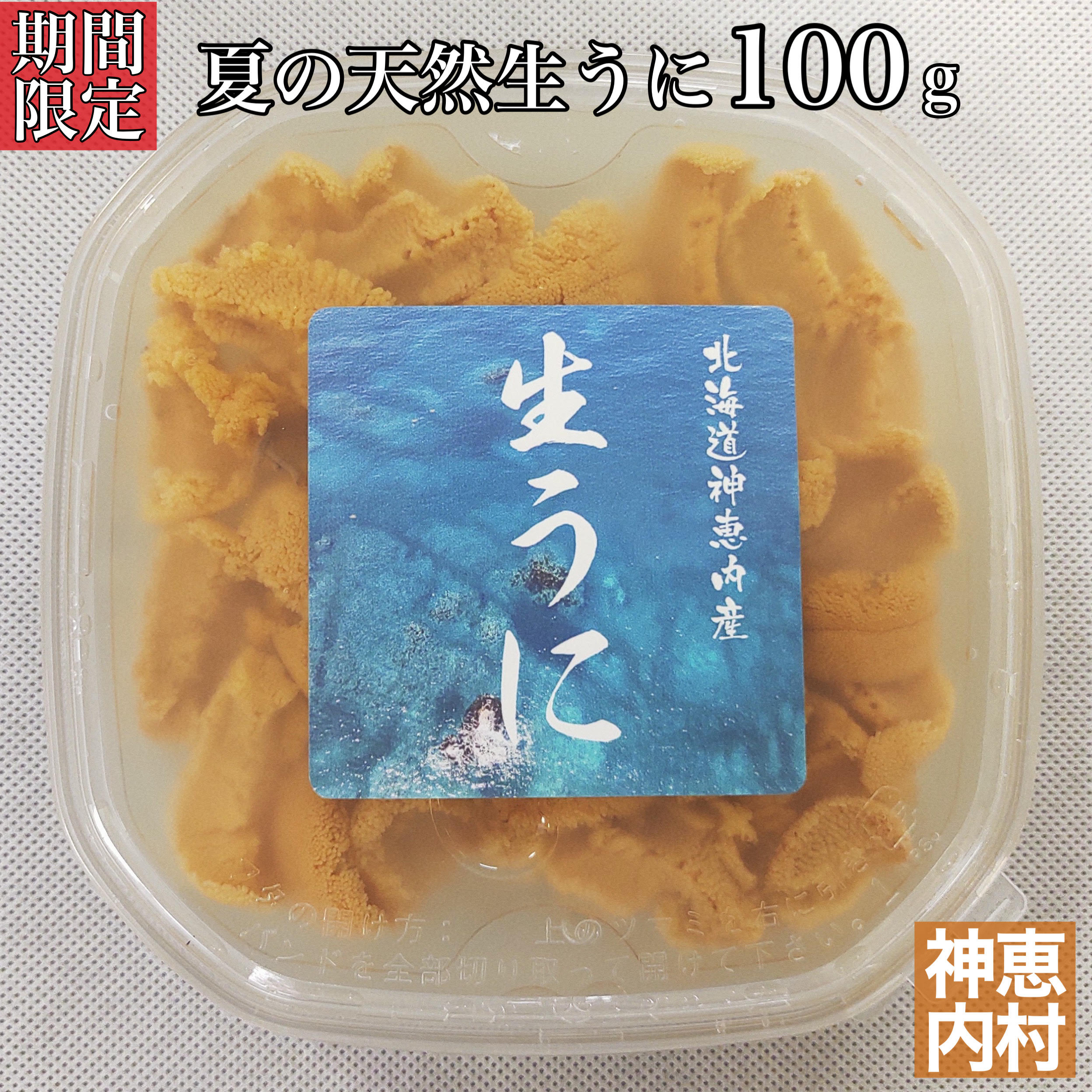 【ふるさと納税】【数量限定】北海道神恵内産　夏の天然生うに（100g）　塩水生ウニ（キタムラサキウニ）
