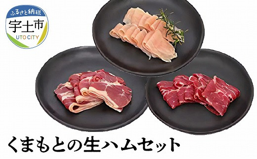 くまもとの生ハムセット _U129-0004