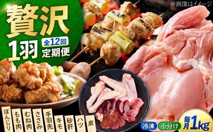 【全12回定期便】【冷凍】 肉 小分け 冷凍 お肉 うまさが違う！ せとうち育ちの江田島産地鶏 一黒シャモ 一羽 パック 合計約1kg 鶏肉 肉 お肉 にく おにく グルメ ギフト 取り寄せ プレゼント 広島県産 江田島市/ポークアンドチキン江田島 [XAH010]