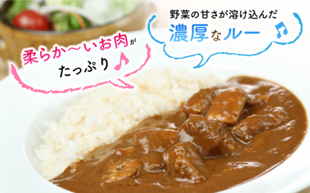 【6回定期便】平戸いのしし 本格スパイスカレー 3食【IMFホールディングス株式会社】[KAB182]/ 長崎 平戸 イノシシ 猪 いのしし レトルト カレー 中辛 定期便