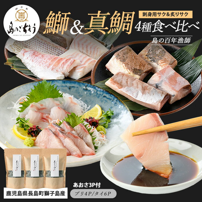 【ふるさと納税】＜百年漁師＞百年漁師の海産物 詰め合わせ【島のごちそう】gochi-7061R8