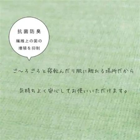 カーペット 日本製 抗菌防臭 犬 猫 ビオラ 261×261cm 江戸間 4.5畳 グリーン【1640012】