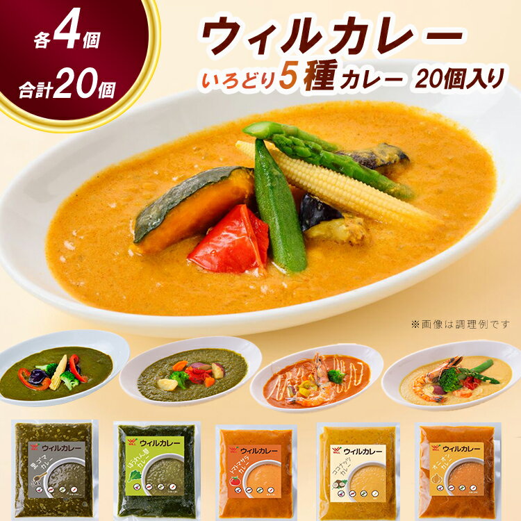 【ふるさと納税】【ウィルカレー】いろどり5種カレー　20個入 ※沖縄・離島への配送不可