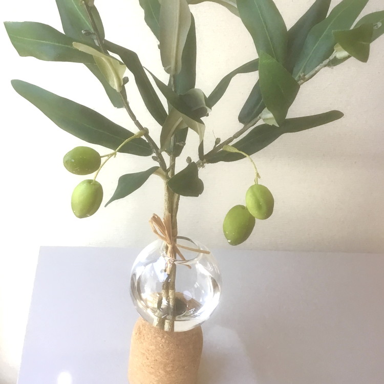 倒してもこぼれないお水 癒しのグリーン「揺れるオリーブの実」光触媒