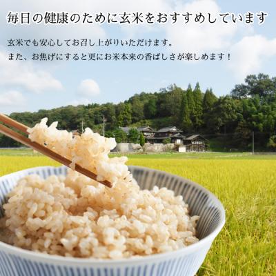 ふるさと納税 三原市 瀬戸内三原 羊飼いのこしひかり 玄米 11kg(栽培期間中無肥料無農薬) [002-011] |  | 02