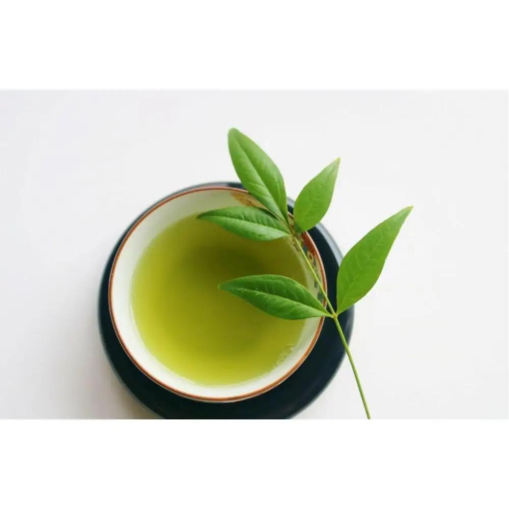 【定期便全12回】八女茶　【上】煎茶セット　100g×2袋
