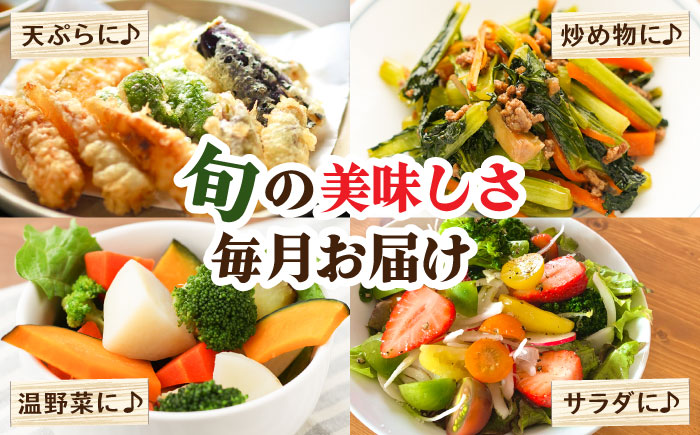 【毎月24回コース】豪華！野菜 セット 15品目以上 24回 定期便  / 野菜 フルーツ きのこ 詰め合わせ 南島原市 / 吉岡青果 [SCZ003]