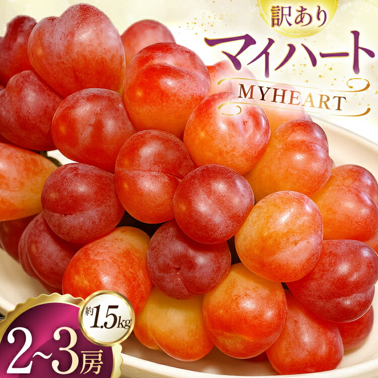 【ふるさと納税】 【期間限定発送】 訳あり マイハート 2〜3房 約1.5kg [ごとう農園 山形県 高畠町 tk06bcz270000] フルーツ 果物 くだもの ぶどう ブドウ 葡萄 1.5キロ 甘い 果実 デザート マスカット 農家直送 産地直送 数量限定 期間限定 わけあり