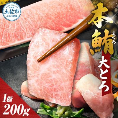 ふるさと納税 土佐市 本マグロ 大トロ 200g 柵 お刺身やマグロ丼にも!