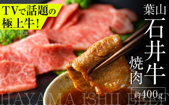 
            葉山石井牛焼肉 400g | 赤身と脂のバランスが絶妙な神奈川・葉山発 ブランド牛 牛肉 肉 和牛 国産 焼き肉 焼肉 やきにく 葉山 HACCP認証 神奈川 【株式会社石井ファーム葉山マルシェ】 [ASCD005]
          