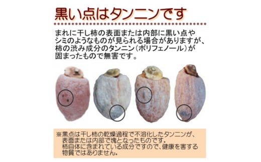 市田柿 贈答用 化粧箱入り 個包装 大粒 10粒 約280g ＜2027年1月上旬～順次発送＞ ＪＡみなみ信州ＤＭセンター | 柿 かき 干し柿 干しがき 市田柿 信州 国産 特産品 ドライフルーツ 
