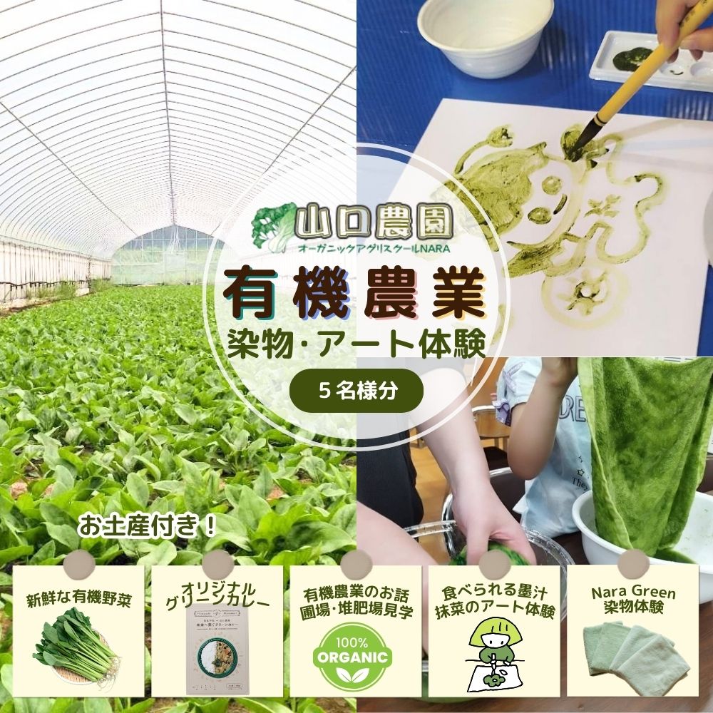 【ふるさと納税】有機農業 染物 アート 体験 お土産付 5名様迄／ 畑見学 食べられる染料 Nara Green 抹菜 農家 有機野菜 オーガニック 無農薬 SDGs 関西 チケット カレー 山口農園 奈良県 宇陀市