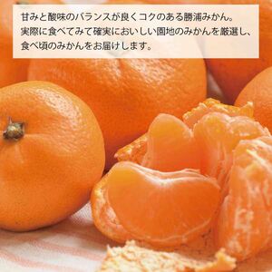 谷内青果 特選 熟成みかん S-Lサイズ 5kg