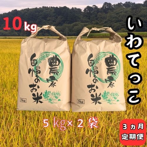 【ふるさと納税】【3ヵ月定期便】令和7年産大野産いわてっこ10kg（5kg×2袋）