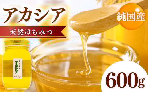 国産 アカシアはちみつ 600g | 養蜂家 齊藤兄弟 Bee concierge ビーコンシェルジュ はちみつ 蜂蜜 ハチミツ 国産蜂蜜 アカシア蜂蜜 新鮮 国産 千葉県 君津市 君津 きみつ