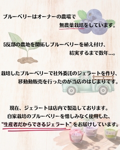 ブルーベリー農家のジェラート 12個パック（自家製ミニソース付き）/【kzj105-set-12B】