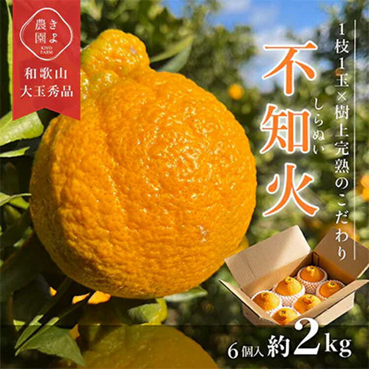 【ふるさと納税】先行受付 不知火 希少な樹上完熟! 秀品 大玉 6個入｜柑橘 しらぬい フルーツ 果物 産地直送 先行予約 美浜町 ※2026年2月下旬～3月下旬頃に順次発送予定