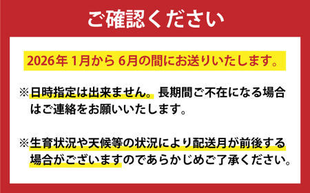 【12月限定受付】【6回定期便】小さな島の贈り物 10万円分 / おすすめ定期便 島グルメ トマト かんころ 和牛 10万 セレクト 冬満喫 小値賀 [DYZ017] 