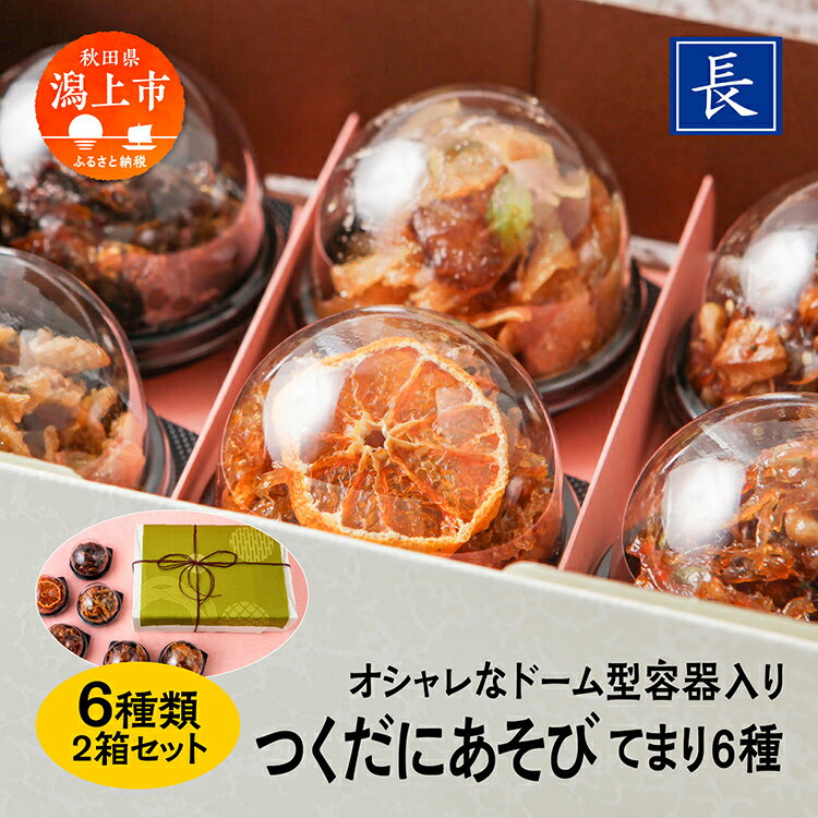 【ふるさと納税】佃煮 てまり 詰め合わせ 6種 セット つくだに 2箱 ギフト 贈答 かわいい ご飯のお供 ご飯がすすむ つくだ煮 ちりめん いか わかさぎ おすすめ 老舗 グルメ お取り寄せ 甘め 人気 おつまみ 肴 酒のあて おかず 秋田 秋田県 潟上 潟上市 【佐藤食品】