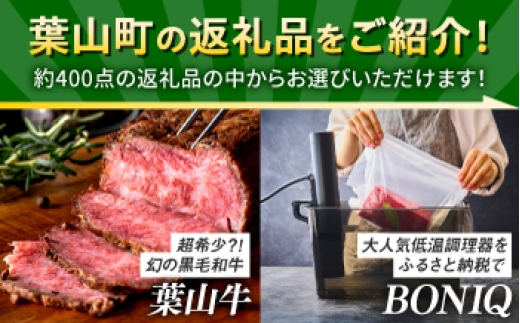 牛肉 葉山牛 プリン スイーツ 宿泊券 旅行 定期便 神奈川 葉山 カタログギフト