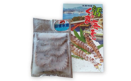 【先行予約】 加熱用冷凍車海老250g×2 えび エビ 海老 車海老 車えび 加熱用 250g 2パック 合計500g 1パックあたり7～12尾 冷凍 熊本県 上天草市 【2027年1月上旬から順次発送予定】
