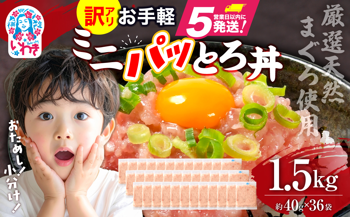 ねぎとろ使い切りパック　約1.5kg（約40g×36パック）| まぐろ まぐろたたき ねぎとろ マグロ パーティー 使い切りパック 海鮮丼 お寿司 軍艦巻き 福島県 いわき市 父の日【DK011-1500g】