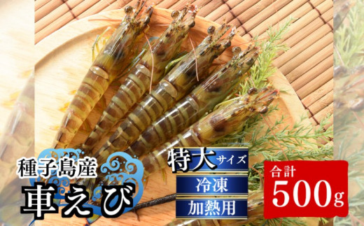種子島 産 【３L 】 車えび （250ｇ×2＝500ｇ）　NFN553　325ｐｔ // 安全 元気 食べ応え抜群 ジャンボサイズ 真空パック 加熱用 特大サイズ 見栄え 活きえび 生エビ 新鮮 黒潮 車海老 プリプリ 塩焼き 海老フライ 天ぷら エビチリ