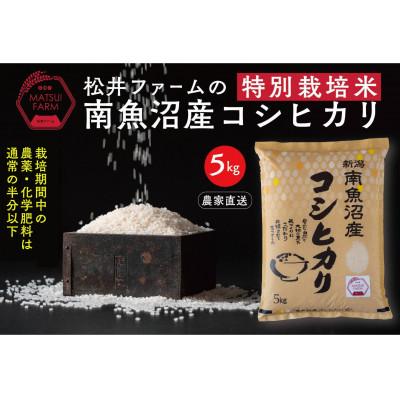 ふるさと納税 南魚沼市 【毎月定期便】南魚沼産コシヒカリ〜特別栽培米【無洗米】〜[5kg×1袋]全3回