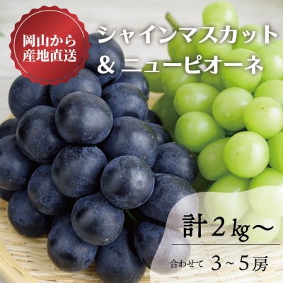 【2026年先行予約】シャインマスカット＆ピオーネ 3-5房入/計2kg～(岡山県産)【配送不可地域：離島】