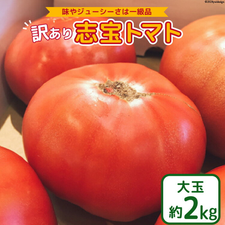 【ふるさと納税】 【 訳あり 】志宝トマト 大玉 約 2kg [モアショップヤマモト 石川県 宝達志水町 38601138] トマト とまと 不揃い 規格外 野菜 食品 石川県産