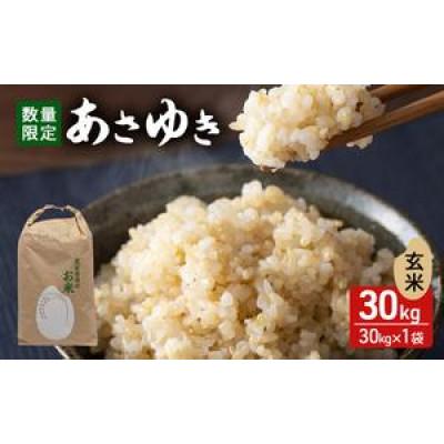 ふるさと納税 鰺ヶ沢町 あさゆき 玄米 30kg H.GREENWORK 令和7年産 [53841351]