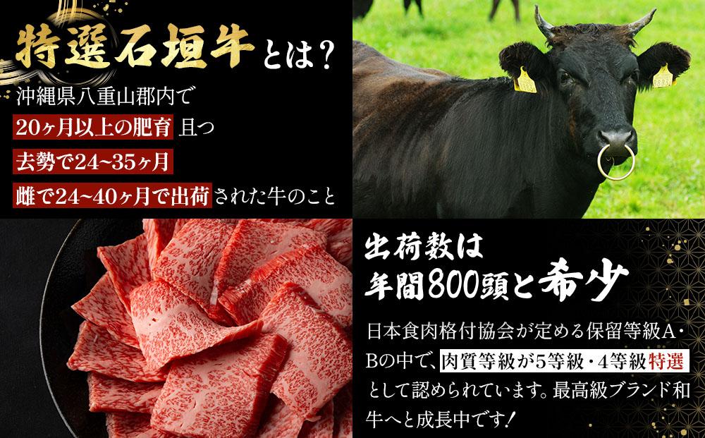 A5ランク 特選 石垣牛 100％使用 ごちそうミンチ 300g 3パック 計900g ＜2026年3月以降順次発送＞ | 沖縄 石垣 ミンチ 牛 肉 A5ランク 特選 黒毛 和牛 石垣牛 贅沢 家庭