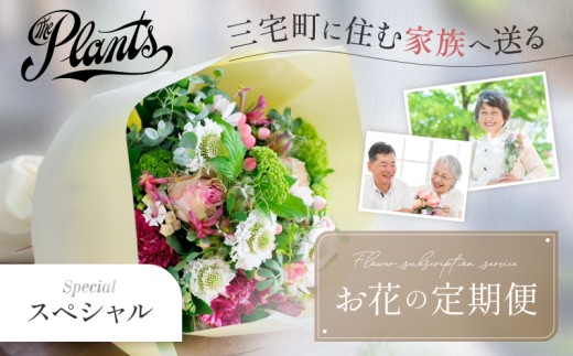 The Plants 花 フラワー ふるさと定期便 3回 お届け 三宅町に住む家族へ 花束 ギフト：スペシャル