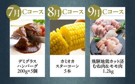 【定期便】どやな飛騨市 まるごと 定期便 毎月 お届け 12回 [Q3015_C]