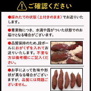 レビューキャンペーン実施中！【先行予約】【2025年11月下旬～発送】有機JAS認証 鈴鹿農園 さつまいも 紅はるか 5kg (土付き)国産 北海道産 さつま芋 栽培期間中 農薬不使用 送料無料 北海