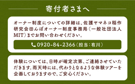 対馬 佐護 ツシマヤマネコ 米 田んぼオーナー1年券【ツシマヤマネコ米30kg付き】（対馬市）【一般社団法人MIT】 米作り体験 田植え 体験 稲刈り 離島 チケット 新米[WAP015]