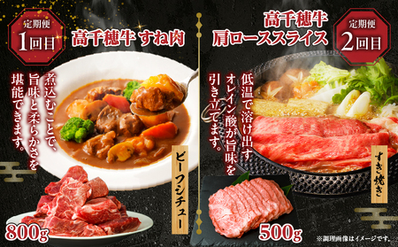 【6か月定期便】高千穂牛煮込み料理6か月定期便 高千穂牛 牛肉 肉 お肉 定期便 定期 国産牛 ブランド牛 和牛 すね肉 ロース 肩ロース 牛すじ バラ 牛バラ ハンバーグ スライス 煮込み カレー 
