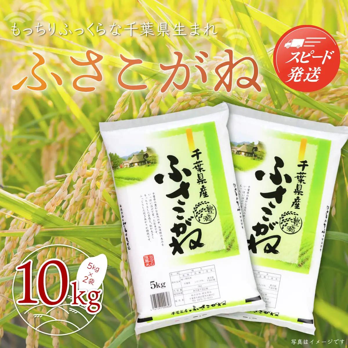 新米 令和8年産 千葉県産「ふさこがね」10kg（5kg×2袋） A004