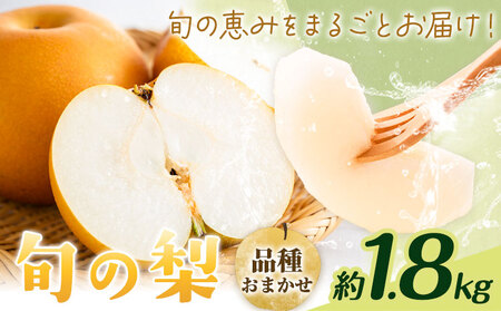 【先行予約】旬の梨 品種おまかせ 約1.8kg 日本フルーツ株式会社《2027年8月上旬-10月上旬頃出荷》熊本県 菊池市 梨 なし 豊水 秋月 新高 和梨 熊本県産