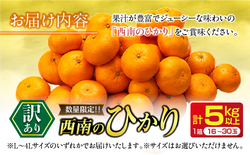 先行予約 訳あり 西南のひかり 5kg ご家庭用 みかん オレンジ フルーツ 果物 くだもの 柑橘 果実 果肉 デザート おやつ 国産 食品 おすそ分け おすそわけ 自宅用 人気 おすすめ 宮崎県 日