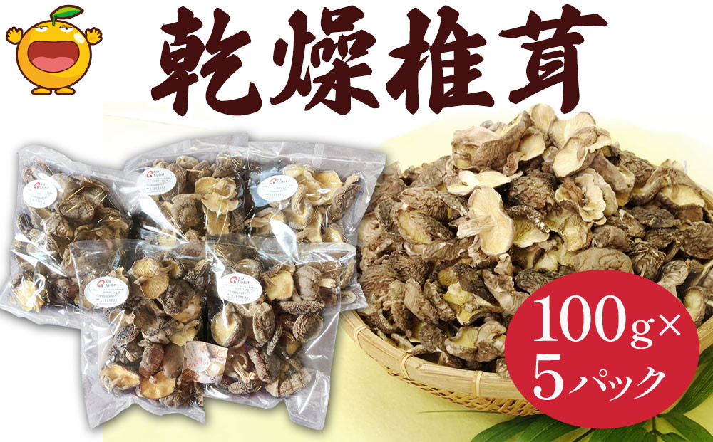 
                  訳あり・大分産椎茸（しいたけ）乾燥しいたけ 椎茸100g×5パック | しいたけ 干し椎茸 シイタケ 乾し椎茸 しいたけパック 干椎茸 菌床しいたけ きのこ ギフト 国産 産地直送 津久見市 
                